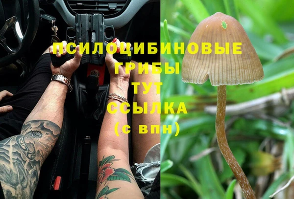 mix Арсеньев
